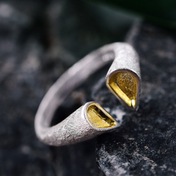 Imagem do Anel Caule de Coração em Prata 925 e Ouro 18k | ARISCA